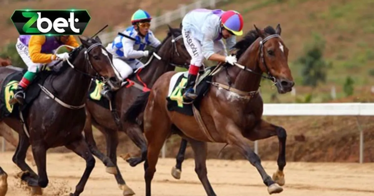 Cá Cược Đua Ngựa - Hình Thức Giải Trí Cực Đỉnh Cho Bet Thủ 4 Bật mí một vài mẹo chơi cực đỉnh của cao thủ