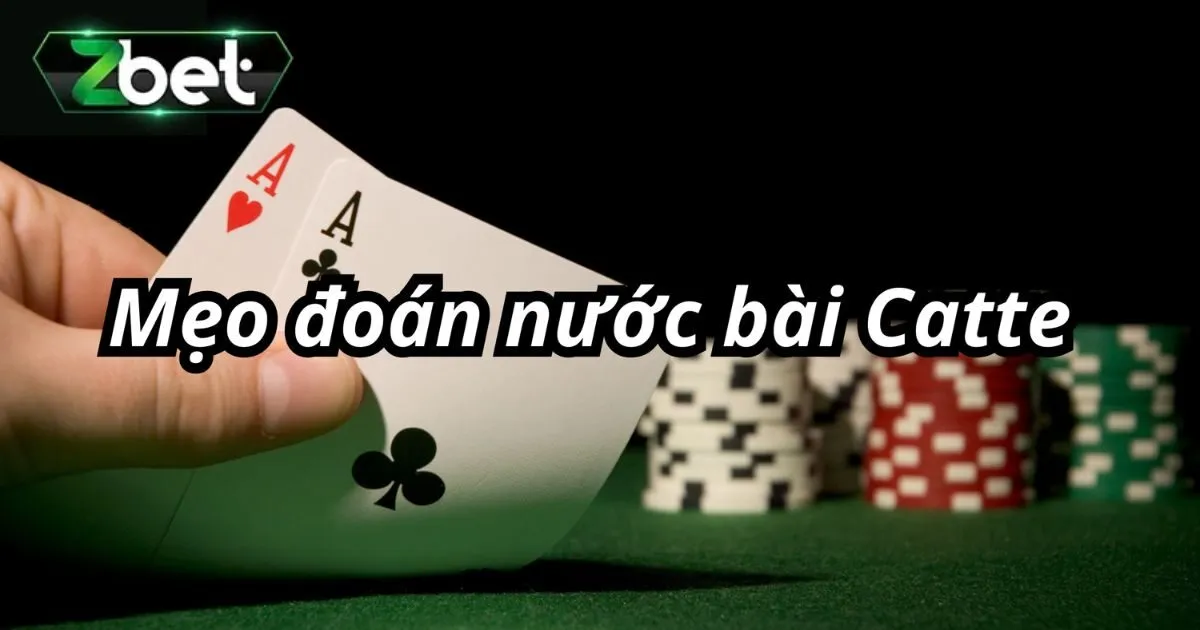 Game Bài Catte - Tổng Hợp Cách Chơi Dễ Thắng Lớn Nhất 4 Lưu ý khi chọn game bài catte