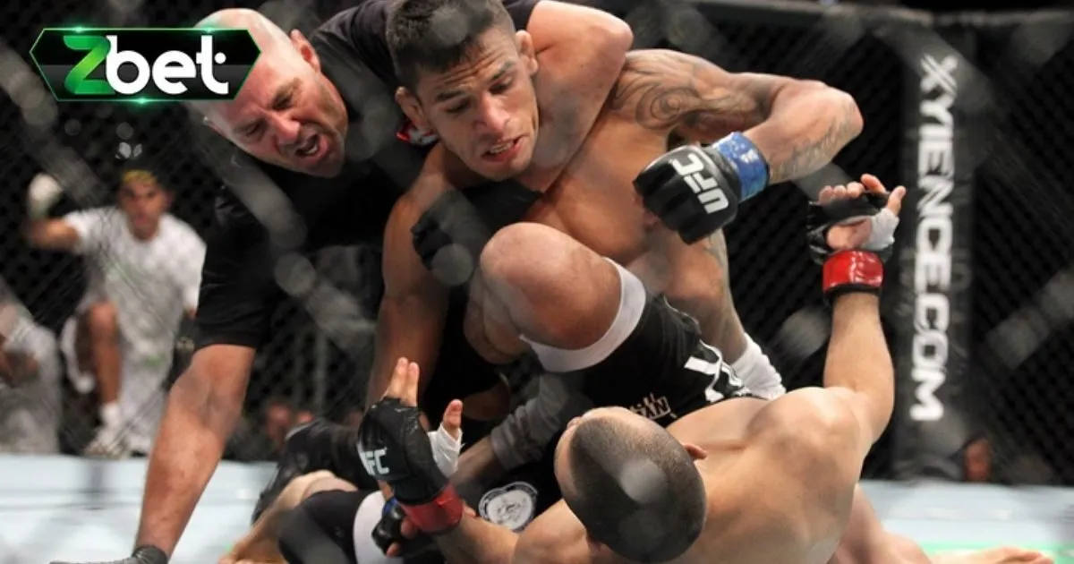 Hướng Dẫn Tân Thủ Các Cách Cá Cược MMA Dễ Thắng Lớn 4 Mẹo chơi cá cược MMA đẳng cấp nhất hiện nay