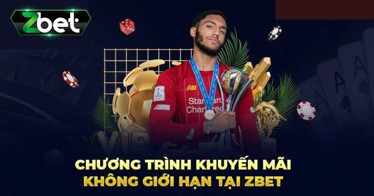 Khuyến Mãi Zbet - Tổng Hợp Đầy Đủ, Chi Tiết Cho Các Bet Thủ 3 Chương trình khách hàng VIP