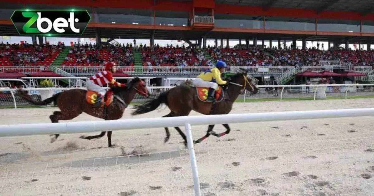 Cá Cược Đua Ngựa - Hình Thức Giải Trí Cực Đỉnh Cho Bet Thủ 2 Tổng quan về cá cược đua ngựa