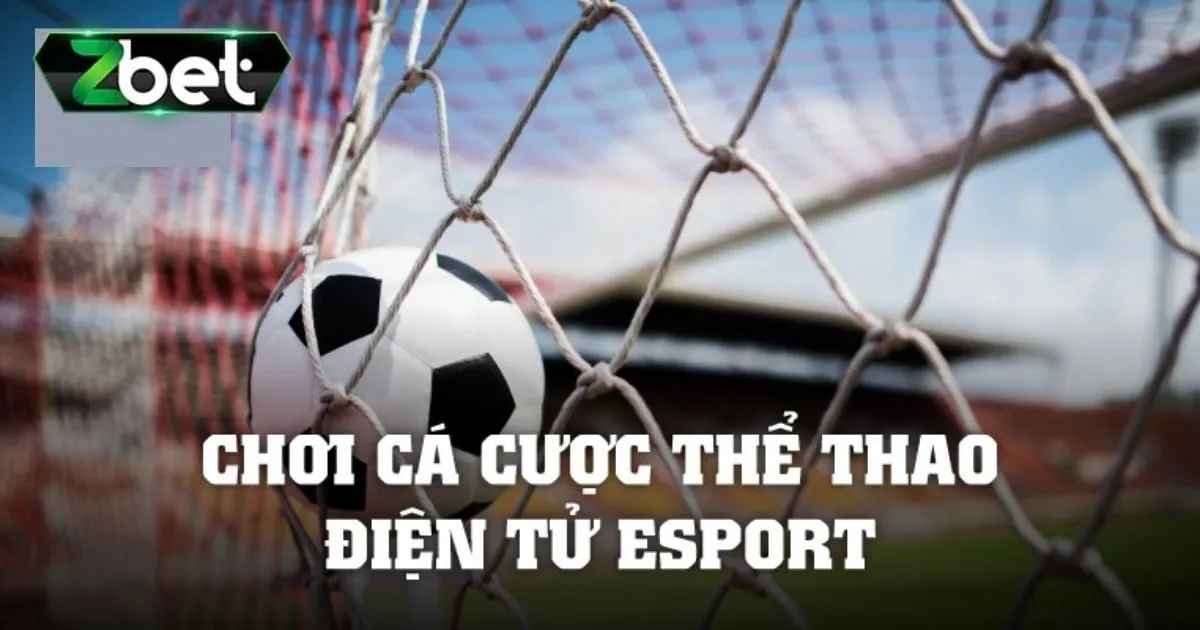 Cá Cược eSports - Trò Chơi Đơn Giản Hấp Dẫn Mọi Game Thủ 4 Mẹo cá cược eSports thắng lớn cho tân thủ