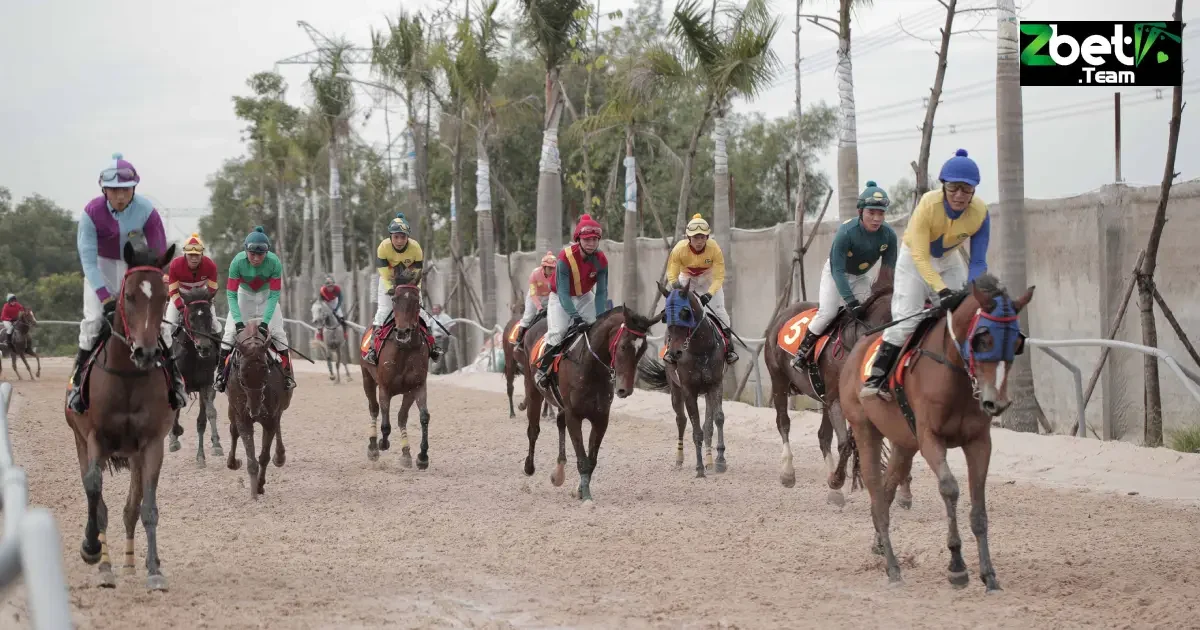 Kinh Nghiệm Đặt Cược Đua Ngựa Tại Zbet Tăng Cơ Hội Thắng 5 Mẹo đặt cược đua ngựa tại Zbet giúp bạn dễ thắng