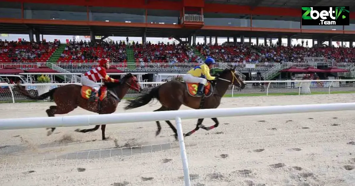 Kinh Nghiệm Đặt Cược Đua Ngựa Tại Zbet Tăng Cơ Hội Thắng 6 Kinh nghiệm chọn kèo đặt cược đua ngựa trên Zbet