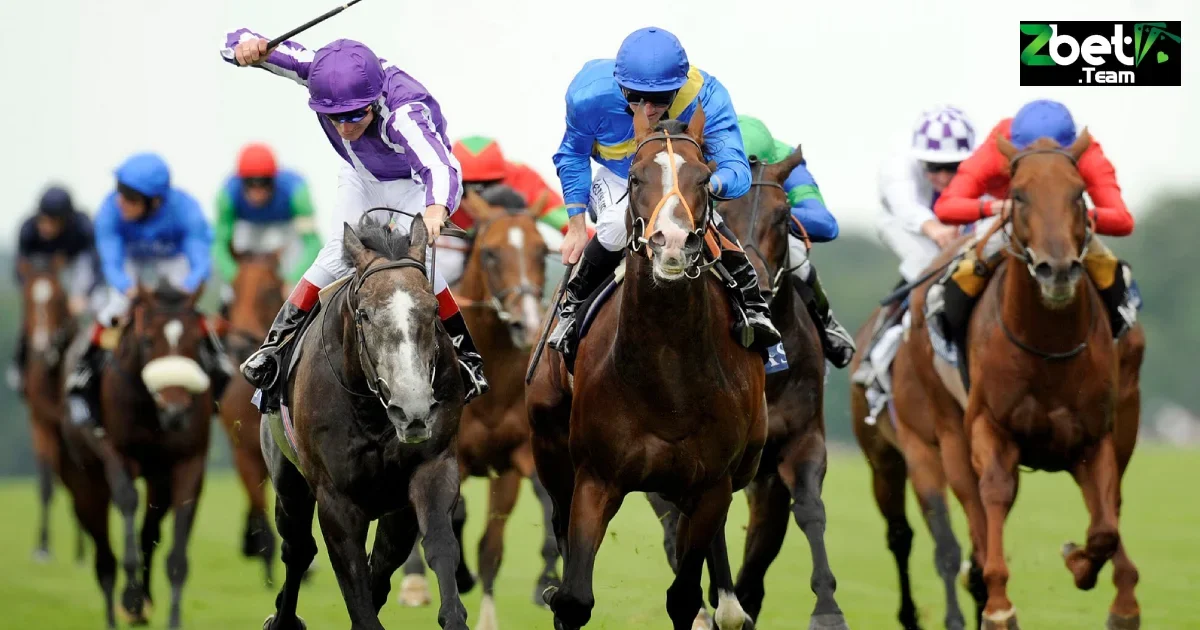 Kinh Nghiệm Đặt Cược Đua Ngựa Tại Zbet Tăng Cơ Hội Thắng 7 Kinh nghiệm chọn kèo đặt cược đua ngựa trên Zbet