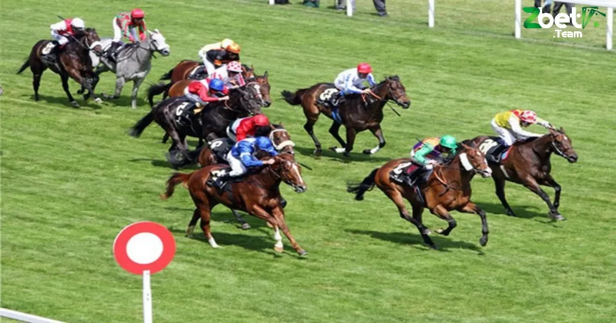 Kinh Nghiệm Đặt Cược Đua Ngựa Trên Nền Tảng Uy Tín Zbet 2 Kinh Nghiệm Đặt Cược Đua Ngựa Dành Cho Người Mới Tại Zbet